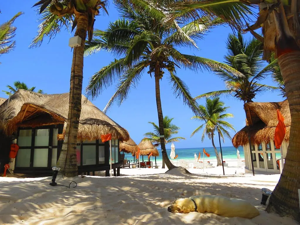 Shambala Petit Hotel Tulum Mexico