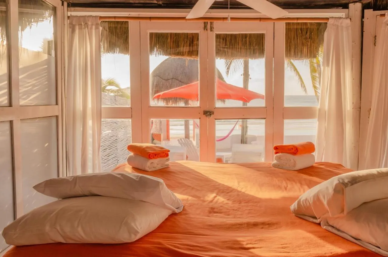 ****  Shambala Petit Hotel تولوم المكسيك